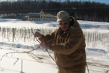 Winter pruning at Heron Hill Winery